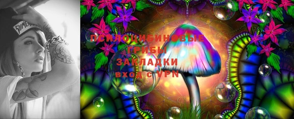 МДПВ Алзамай
