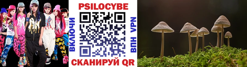 Галлюциногенные грибы Psilocybe  Алейск 
